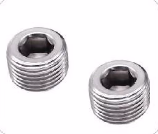 Hex Socket Plug — FerruleX stainless steel fittings