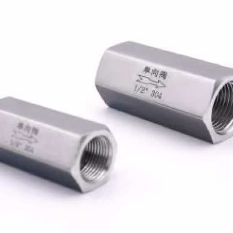 Female Thread Check Valve — FerruleX stainless steel fittings